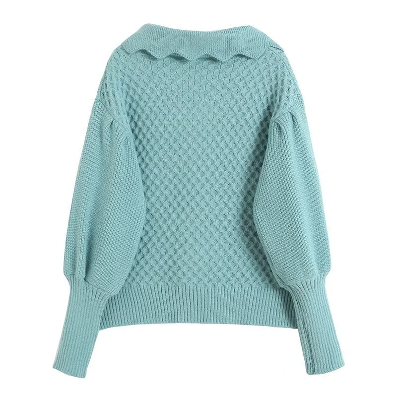 Embroidered Balloon Casual Women's Top